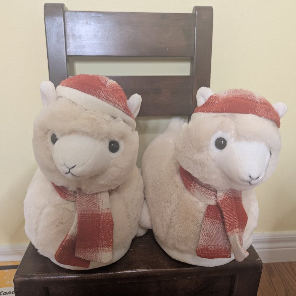 American Eagle Alpaca slippers